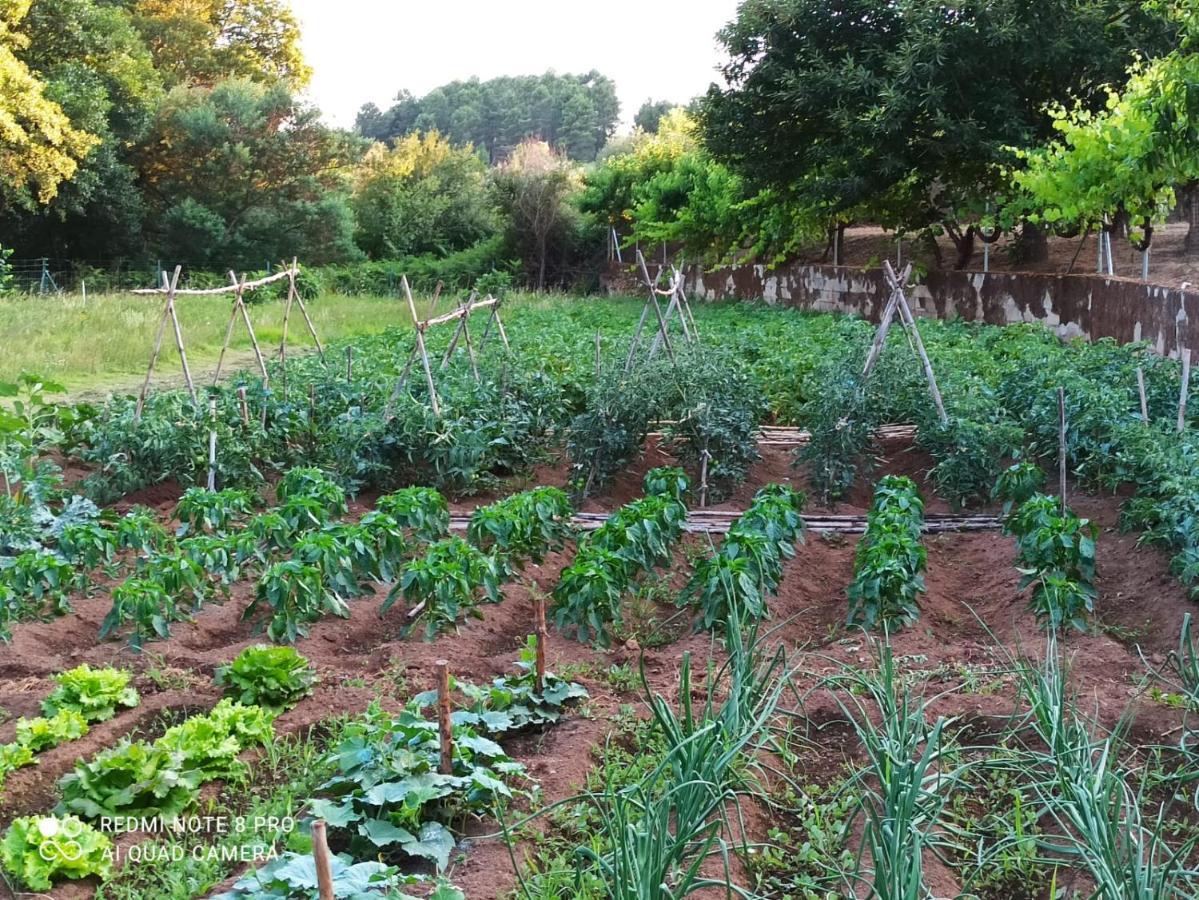 Finca Vergel Gata Buitenkant foto