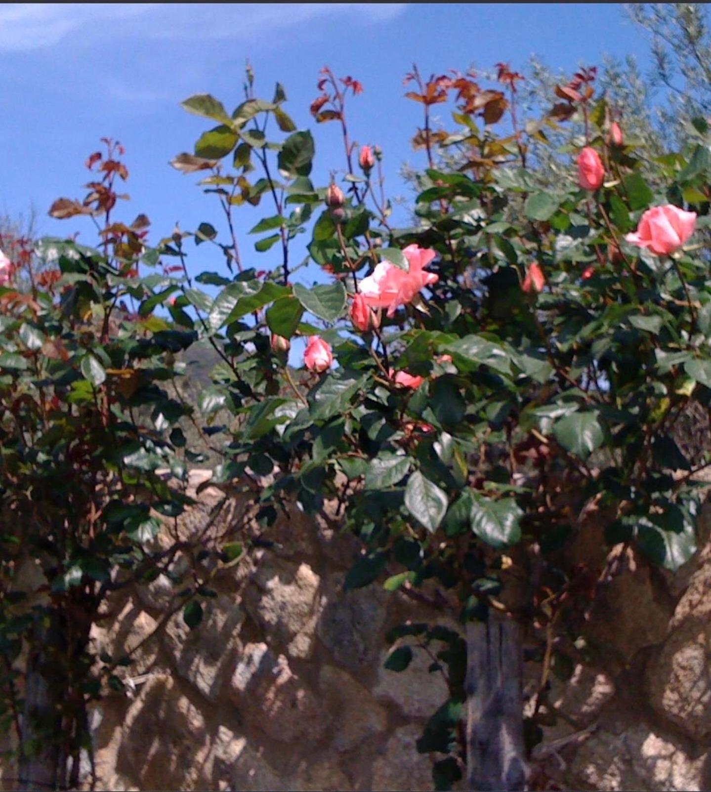 Finca Vergel Gata Buitenkant foto